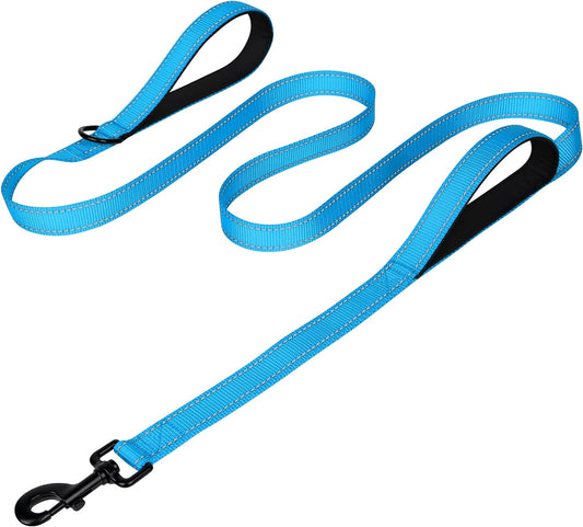 Dog Leash Heavy Duty for Large Dogs That Pull, Double Handle for Traffic Control, Double-Sided Reflective Leashes for Large Medium Dogs Night Safety, 6FT, Aqua Blue