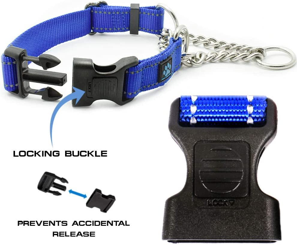 Stainless Steel Chain Martingale Collar - We Donate to a Dog Rescue for Every Collar Sold (Medium, Purple)