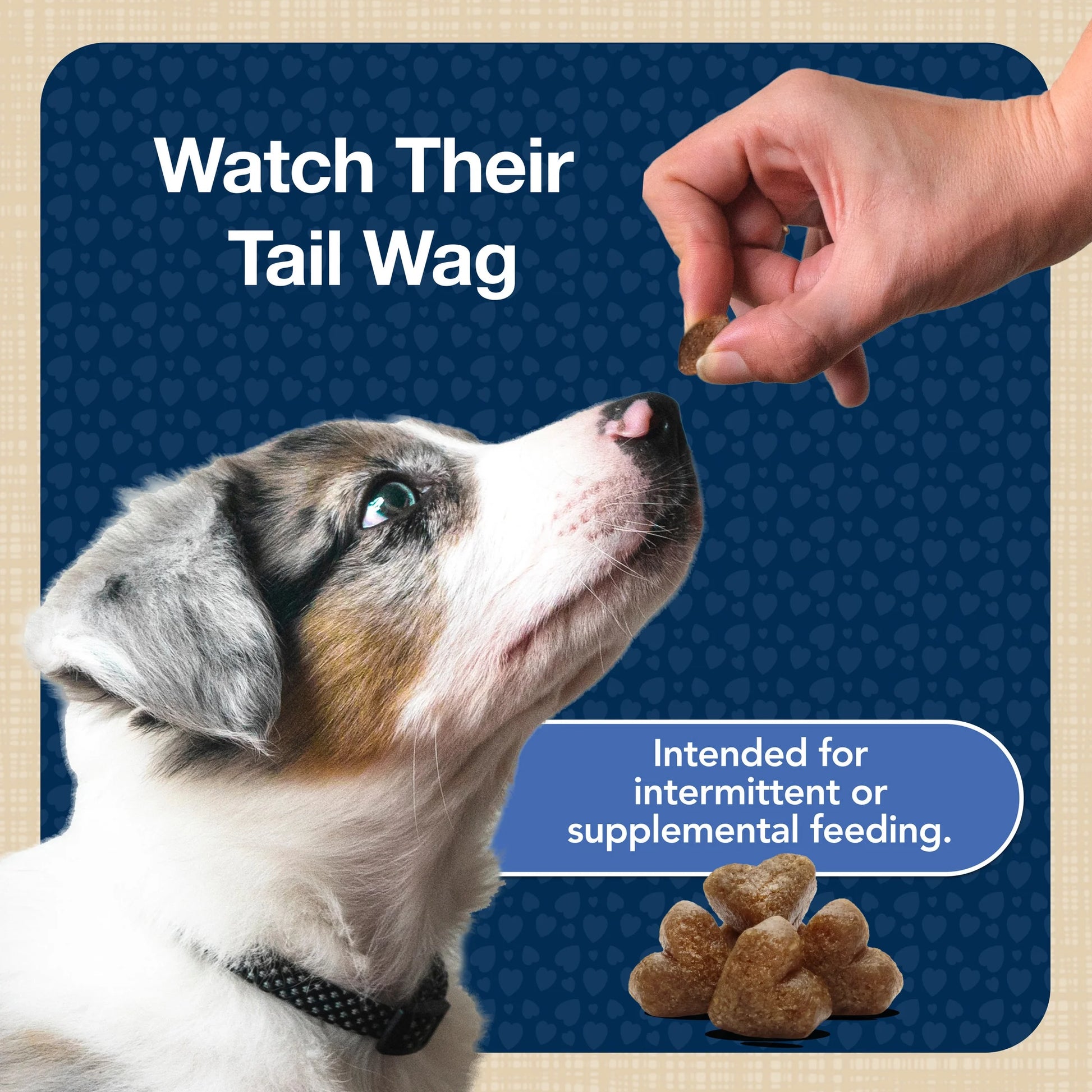 Bits Soft Dog Treats for Training, Enhanced with DHA, 4-Oz. Bag