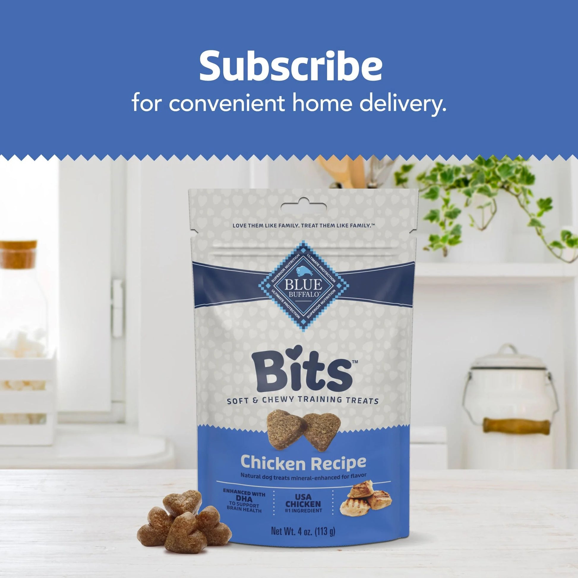 Bits Soft Dog Treats for Training, Enhanced with DHA, 4-Oz. Bag