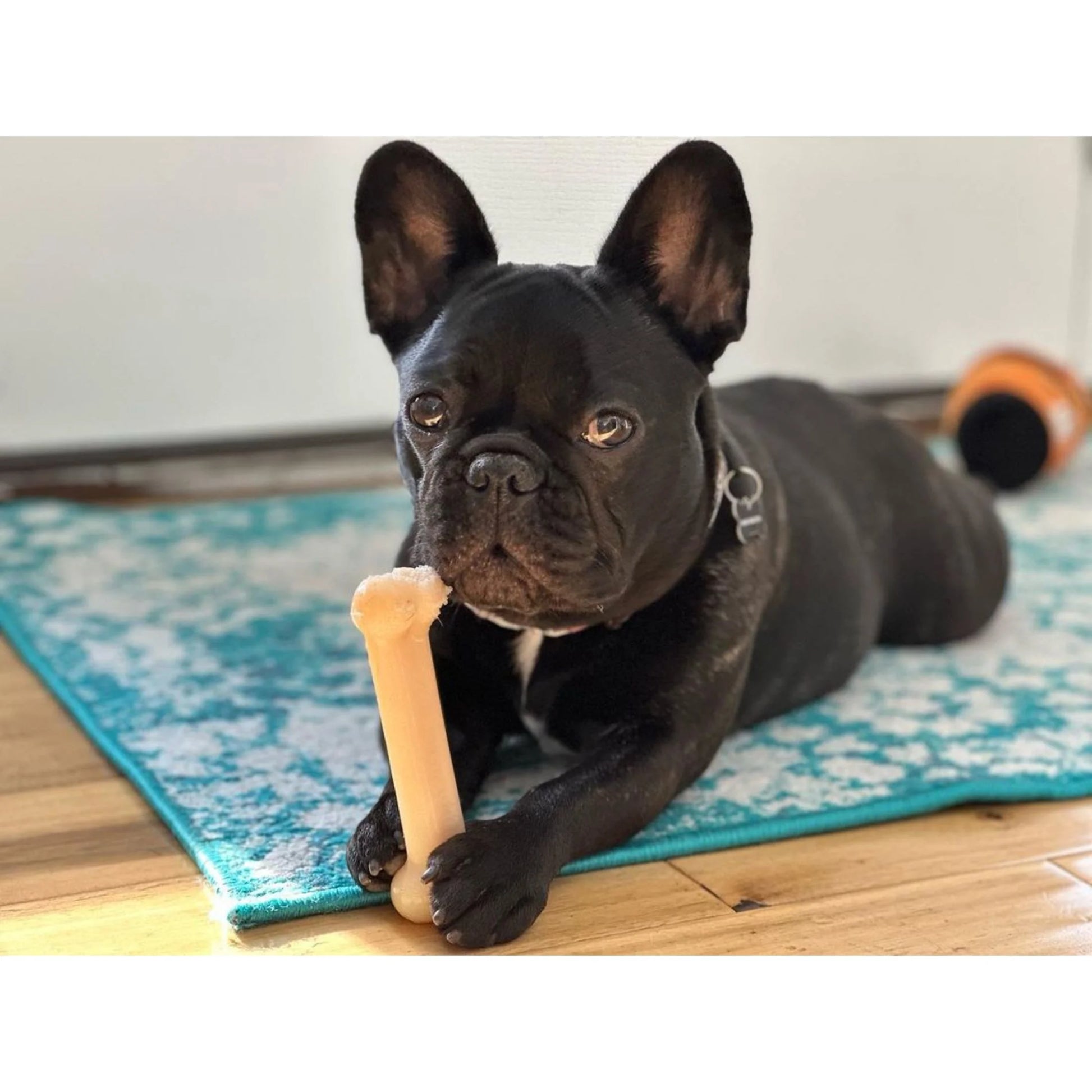 Power Chew Original Bone Dog Chew Toy Medium (1 Count)