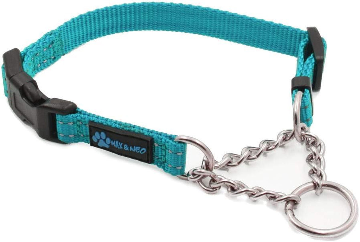 Stainless Steel Chain Martingale Collar - We Donate to a Dog Rescue for Every Collar Sold (X-Small, Teal)