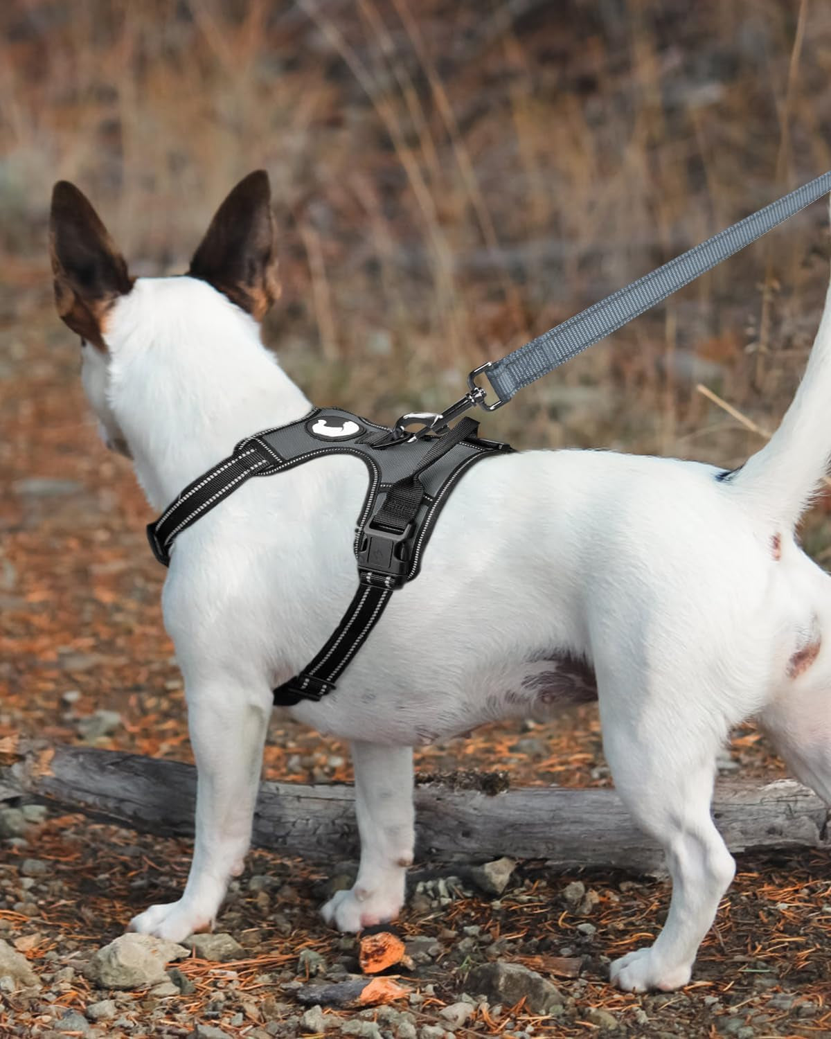 Dog Leash Heavy Duty for Large Dogs That Pull, Double Handle for Traffic Control, Double-Sided Reflective Leashes for Large Medium Dogs Night Safety, 4FT, Green