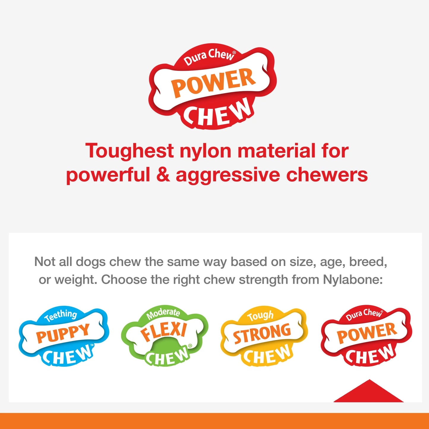 Power Chew Basted Blast Dual Flavored Dog Chew Toys X-Small/Petite - up to 15 Ibs. (2 Count)