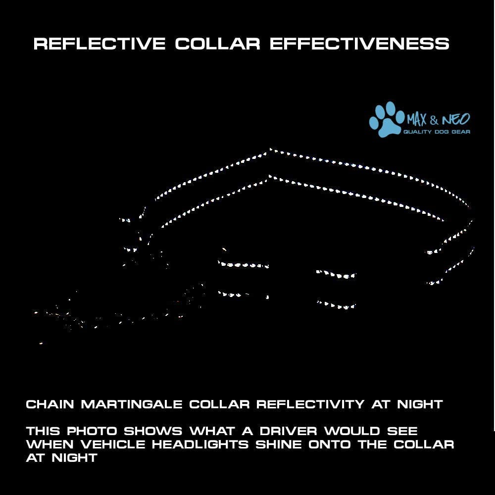 Stainless Steel Chain Martingale Collar - We Donate to a Dog Rescue for Every Collar Sold (X-Small, Purple)